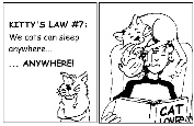 Kitty's Laws